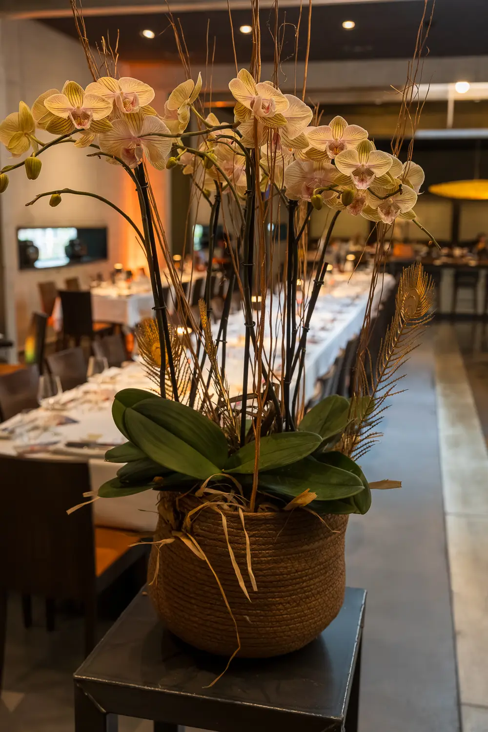Eine Orchidee in einem Korb steht auf einem Podest, dahinter zieht sich die gedeckte Tafel in die Tiefe des Saals.
